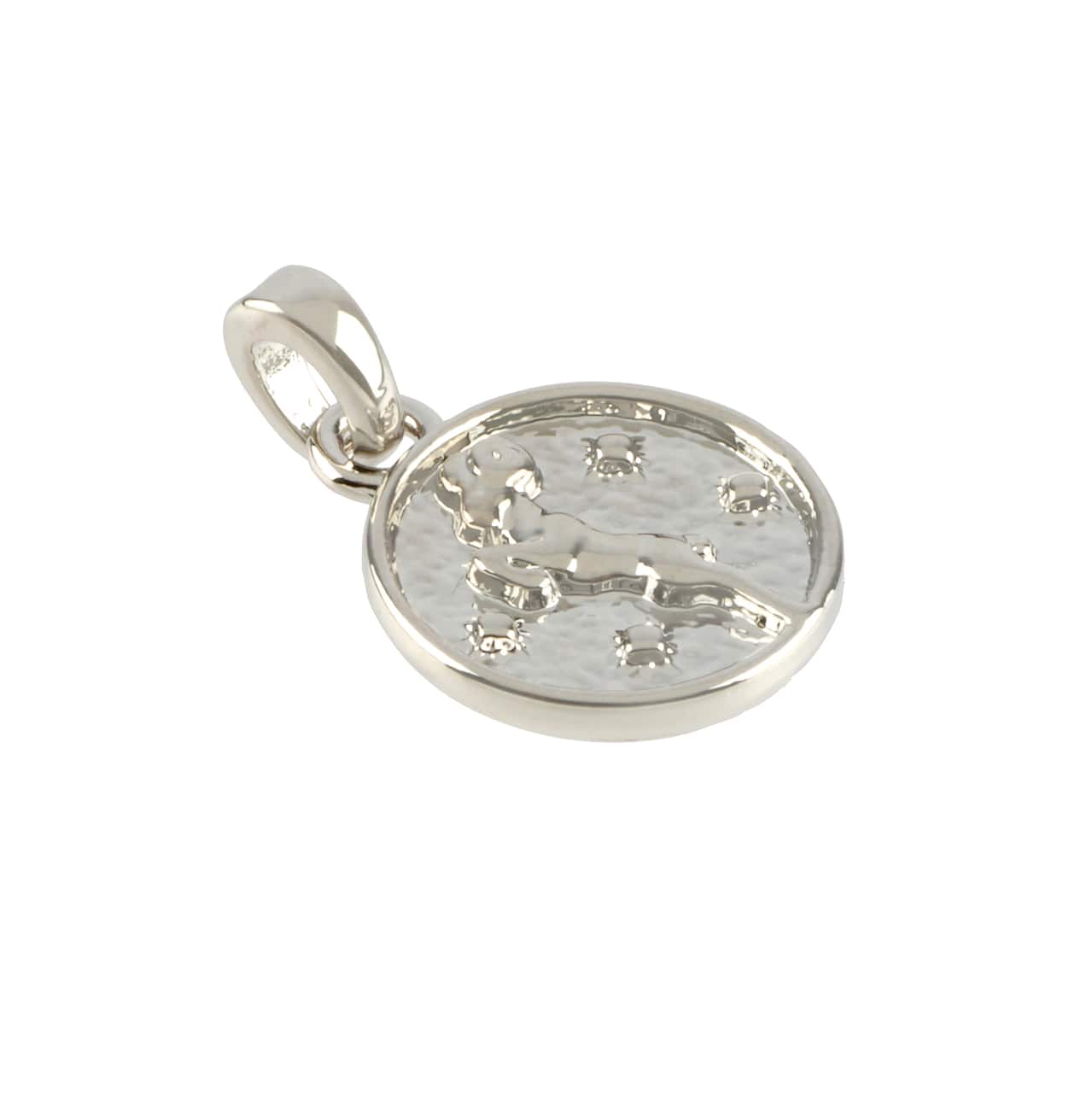 12 Pack: Metal Zodiac Coin Charm by Bead Landing™